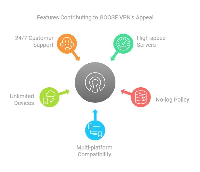 Features Contributing to GOOSE VPN's Appeal